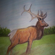 New_paintings11_103_card