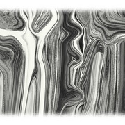 Lo_spirito_di_ofelia__2__card