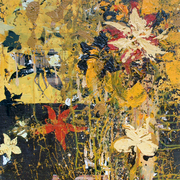 P6200821_card