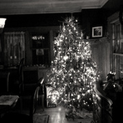 Christmas_tree_2006_editedab_card