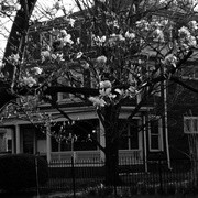 Dsc00496editedab_card