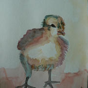 P1090021_card