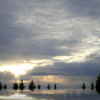 Across_the_street_resize_thumb