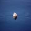 Dsc_0026feather_on_water_thumb