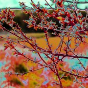 Dsc05114_card
