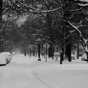 Img_3812jan_09_snow_b_w_card