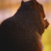 Img_4048a1_card