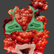 Orang-face-bot22_card