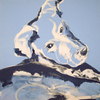 Blue_dog72_thumb