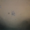 Line_break_thumb