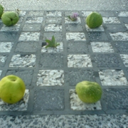 Szacht_card