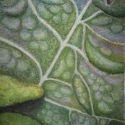 Cabbage_card