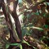 Monbach1_05_thumb