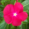 100_1639_thumb