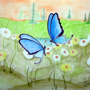 Img_0801_edited_card