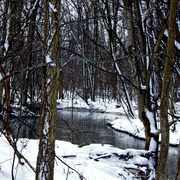 P3082552editedpicasa_card