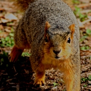 Img_4549a_fav_2a_card