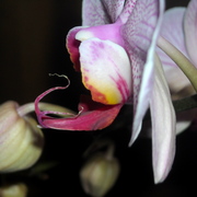 Dscn1853_card