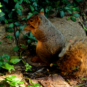 Dsc02926ab_card