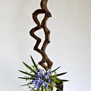 Ikebana-133_card