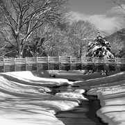 Flagstaffbridge-img_0052_card
