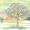 Fall_trees_001_thumb
