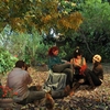 Sh-_models_in_a_garden_on_authomn_day_thumb