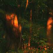 Img_2455ab3_card