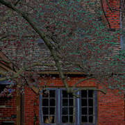 Img_4180a11b1_card