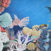 Coralreef_thumb
