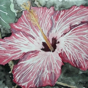 Hibiscus_flower_painting_medium_card