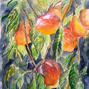 Peaches_medium_card