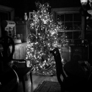 Dec
