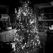 Dec