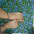 Paintings_019_tiny_square