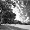 Email14n_shining_oak_copy_thumb
