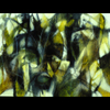 Live-faces01_thumb