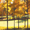 Fall_golf_thumb