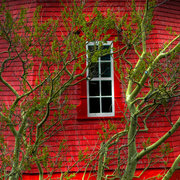 Red_house_2_by_jfdupuis_card