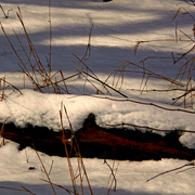 P3082565editedab2_card