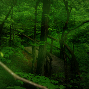 Img_5158ab_card