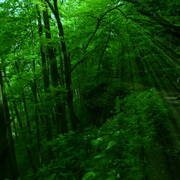 P5090156ab3_card