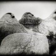 3358241-2-statues_card