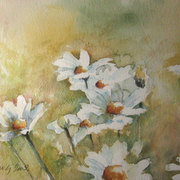 Bele-rade-15_card