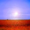 Terre_rosse_thumb