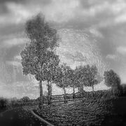 Sogno_onirico2_card
