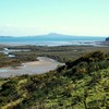 Rangi_004_thumb