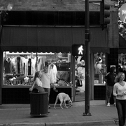 Streetscene_edited-1_card