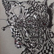 Red_eyed_dragon_card