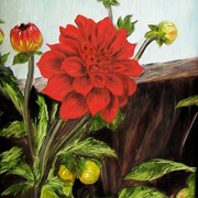 Dahlia__-_2008_-_9x12_card
